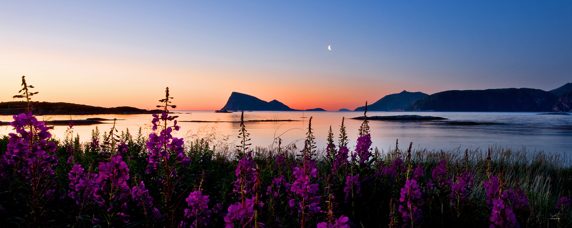 TrondRoar Nilsen IMI Tromsø